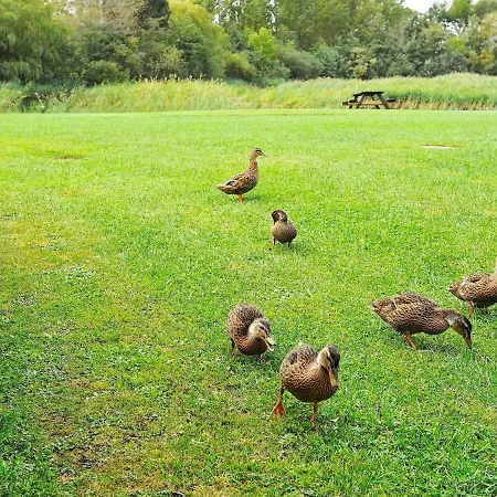 Lakeview Retreat In Dagelokke - By Traum Casa de Férias *